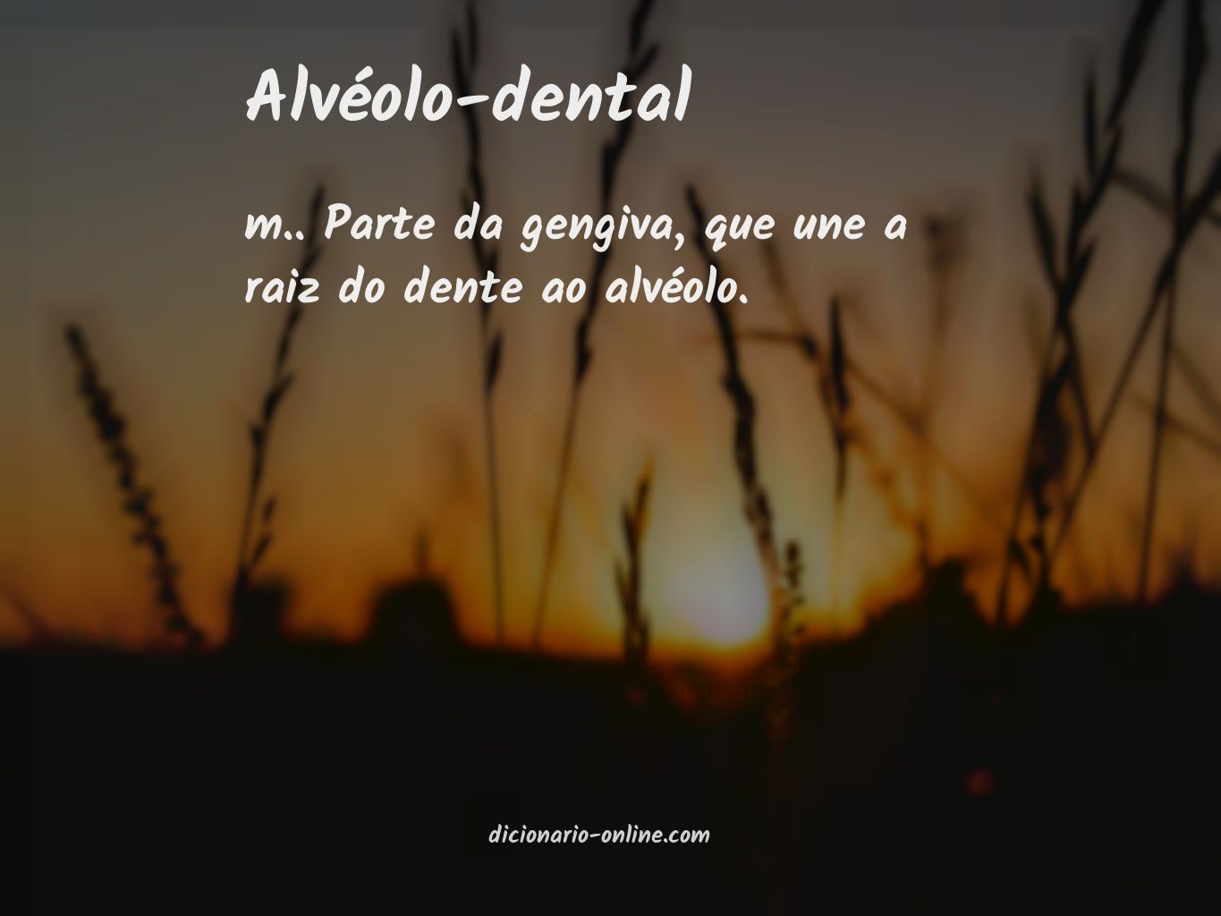 Significado de alvéolo-dental