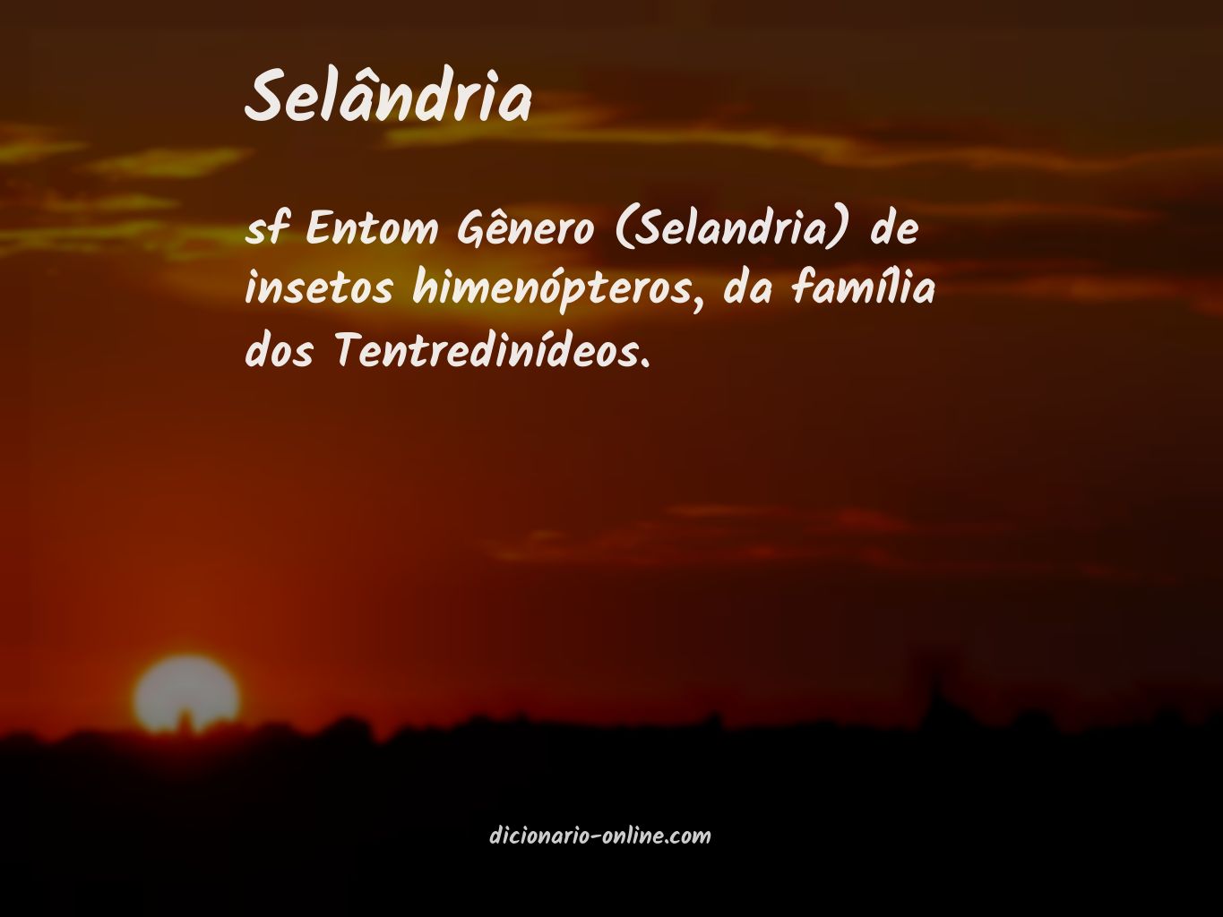 Significado de selândria