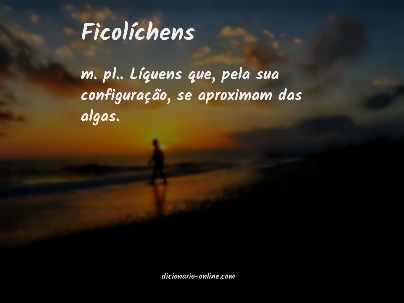 Significado de ficolíchens