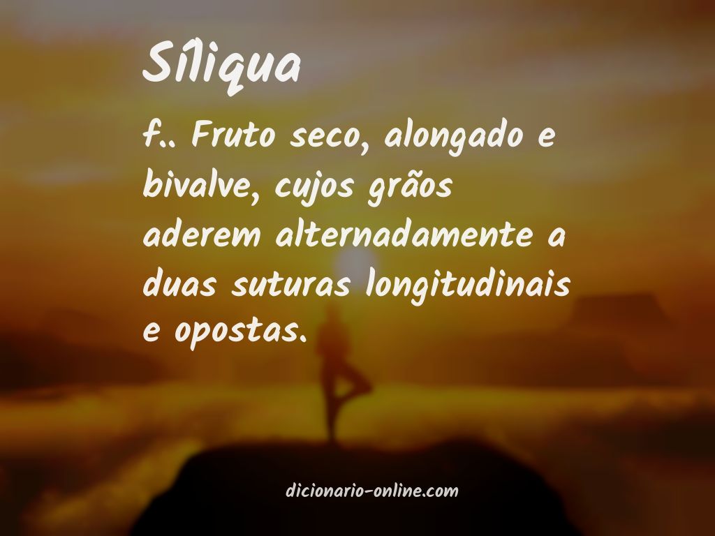 Significado de síliqua