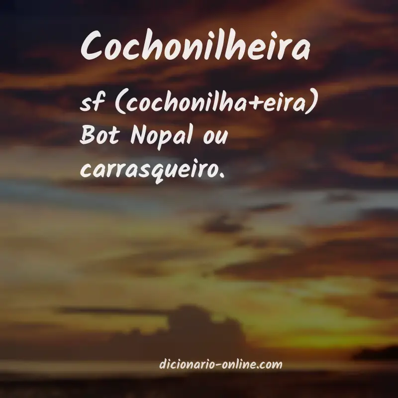 Significado de cochonilheira