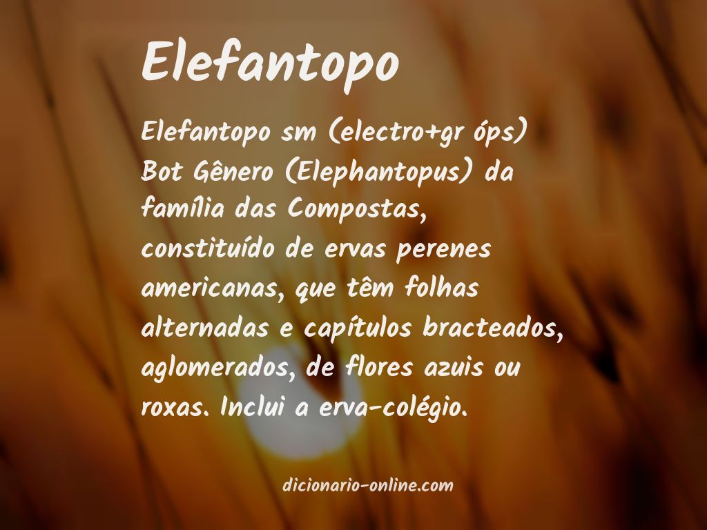 Significado de elefantopo