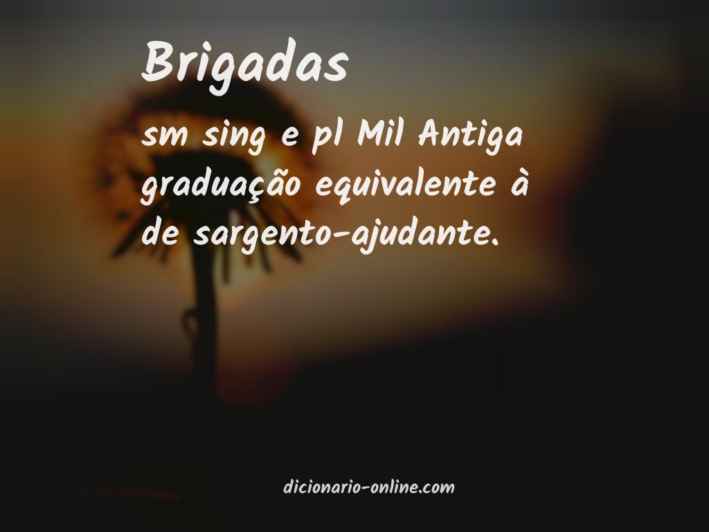 Significado de brigadas