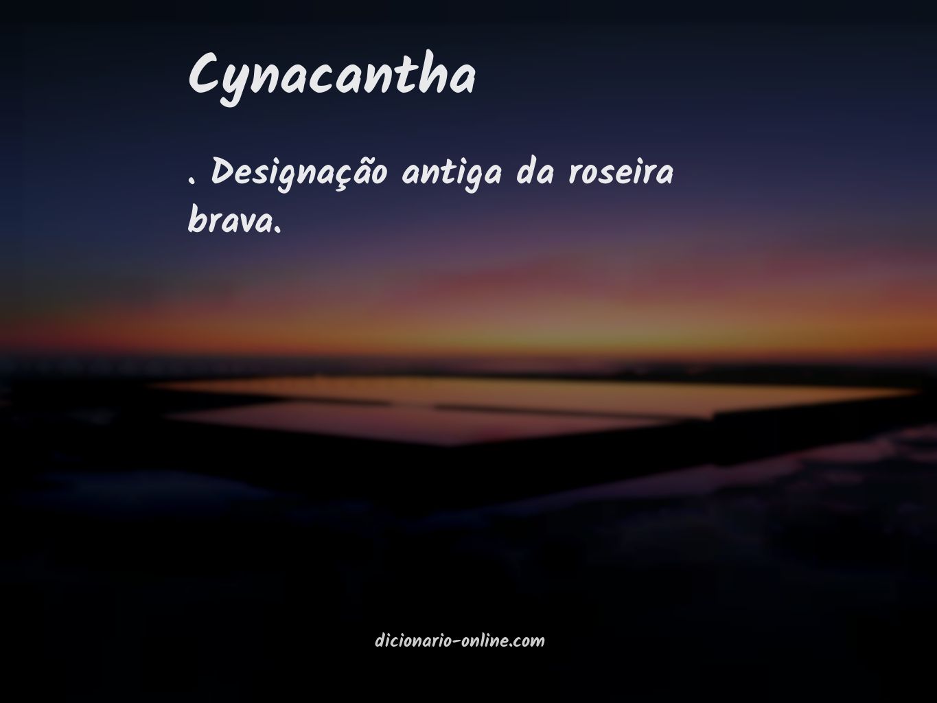 Significado de cynacantha