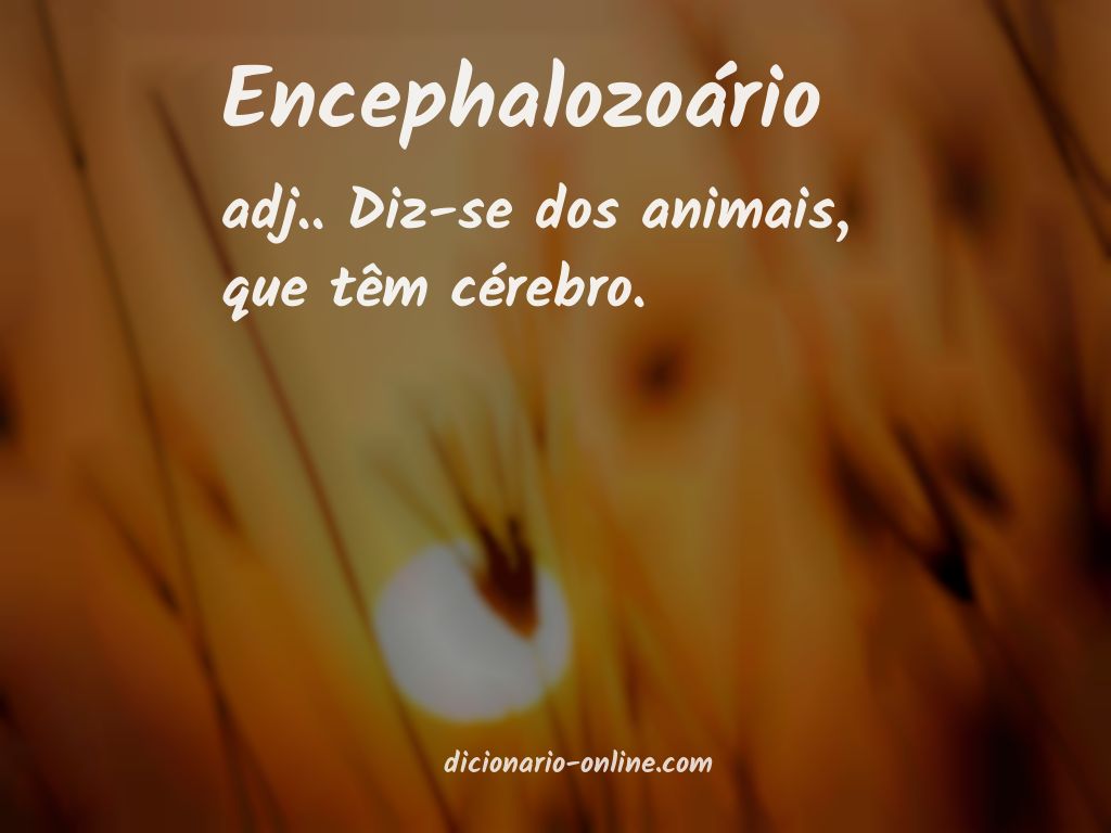 Significado de encephalozoário