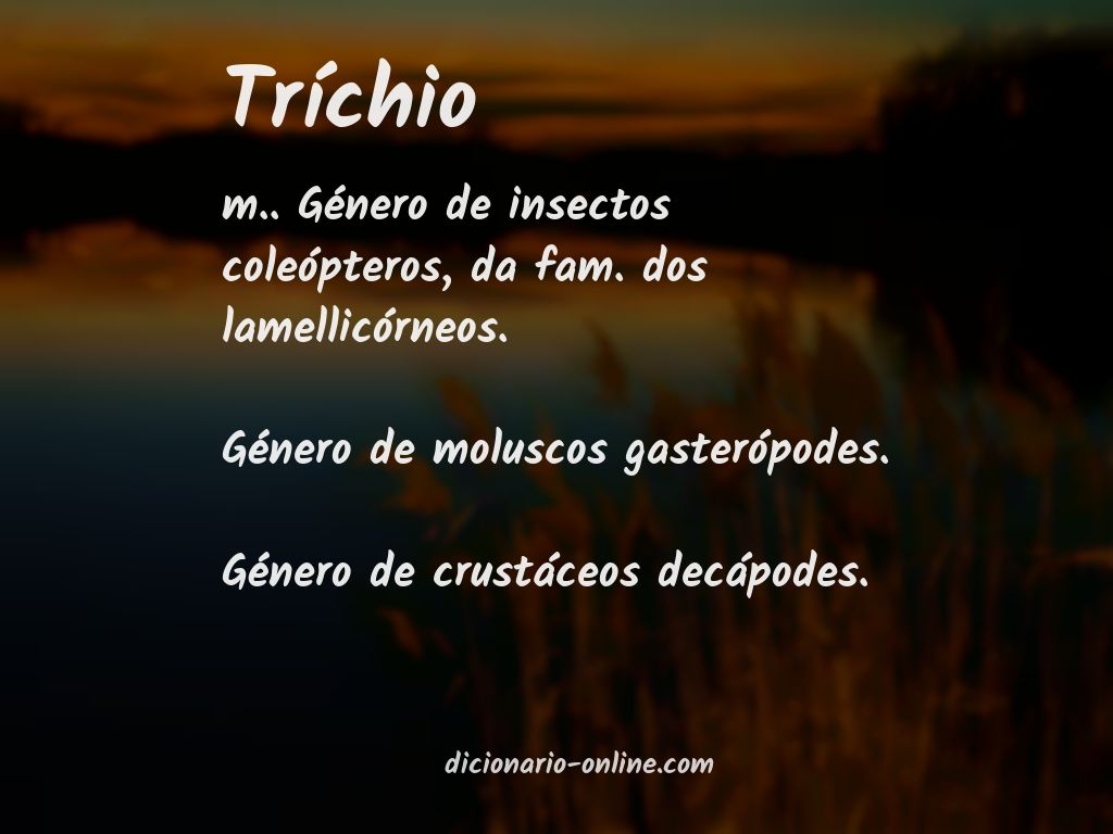 Significado de tríchio