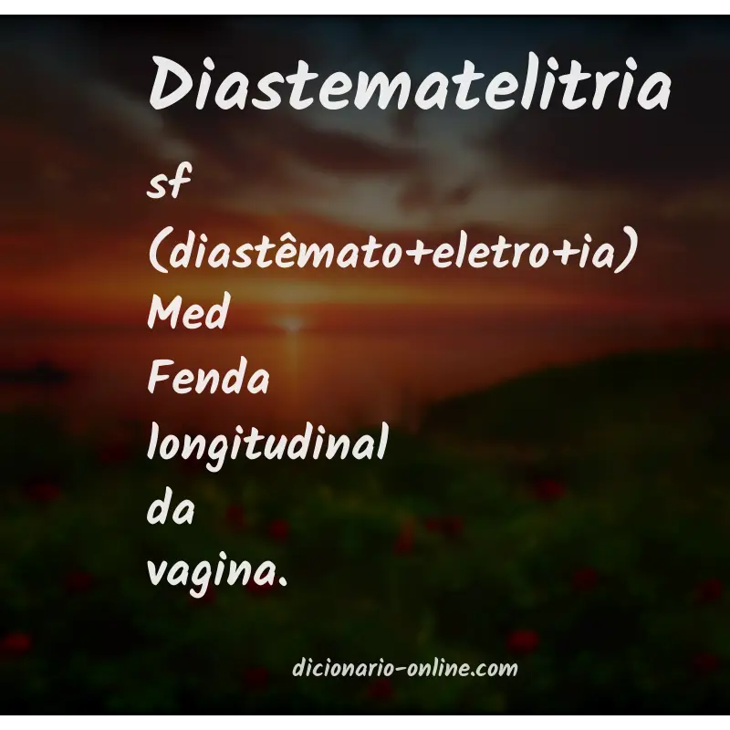 Significado de diastematelitria
