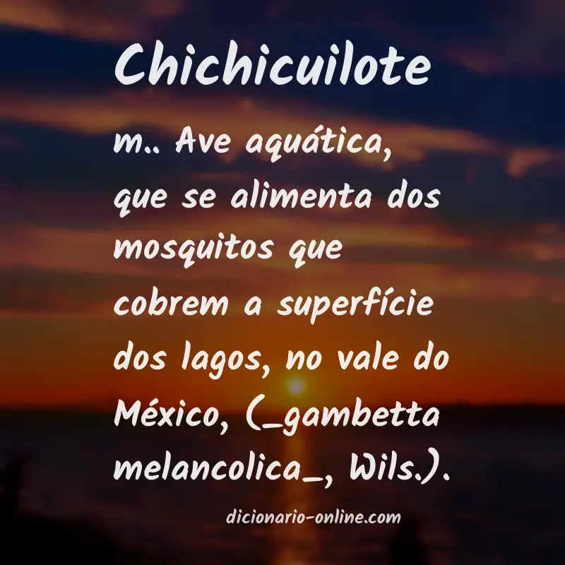 Significado de chichicuilote