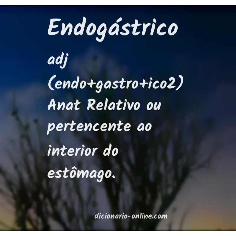 Significado de endogástrico