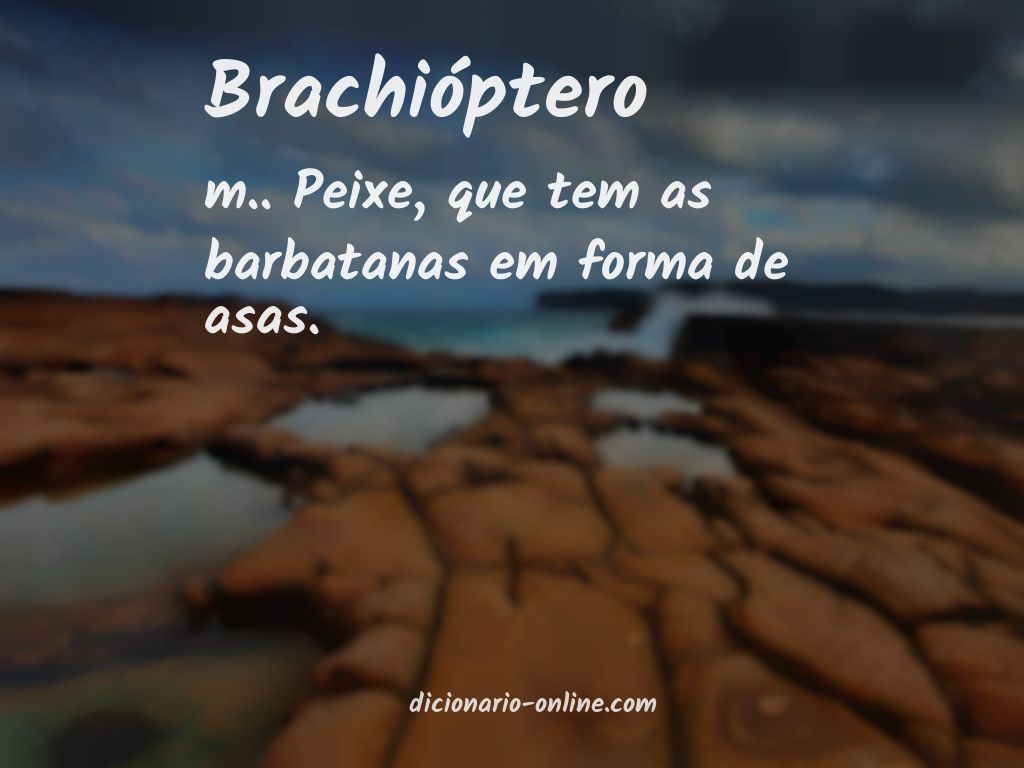 Significado de brachióptero