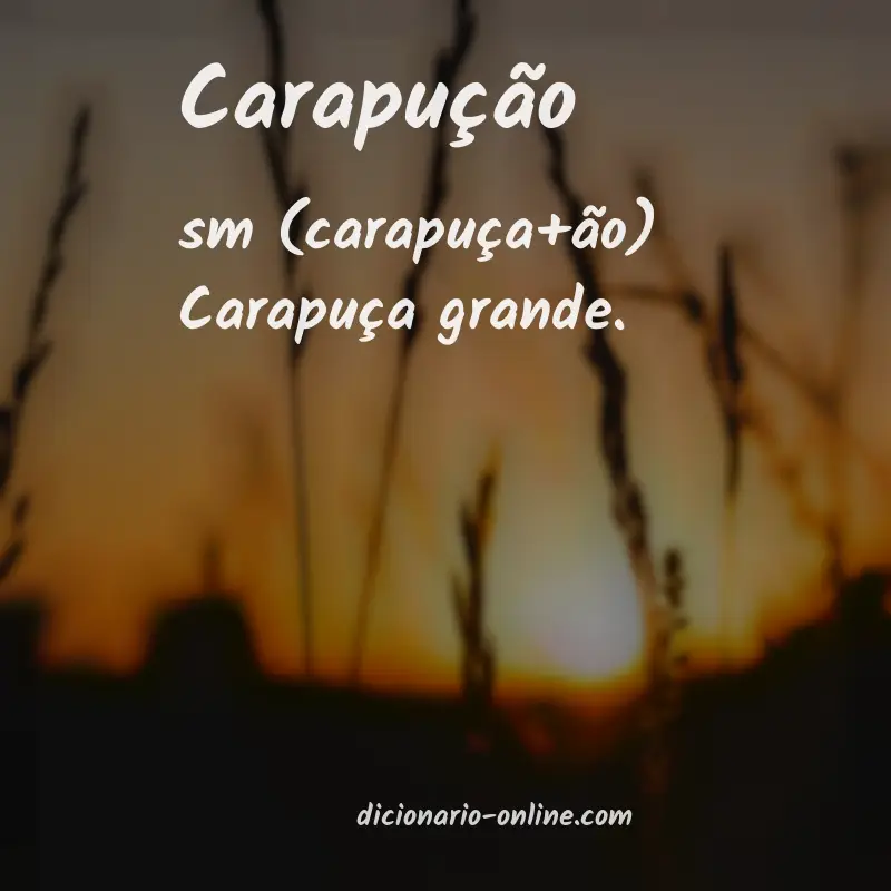 Significado de carapução