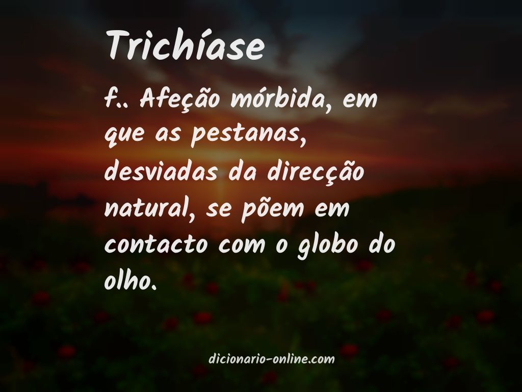 Significado de trichíase