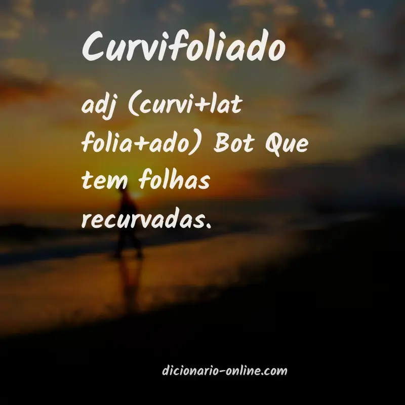 Significado de curvifoliado