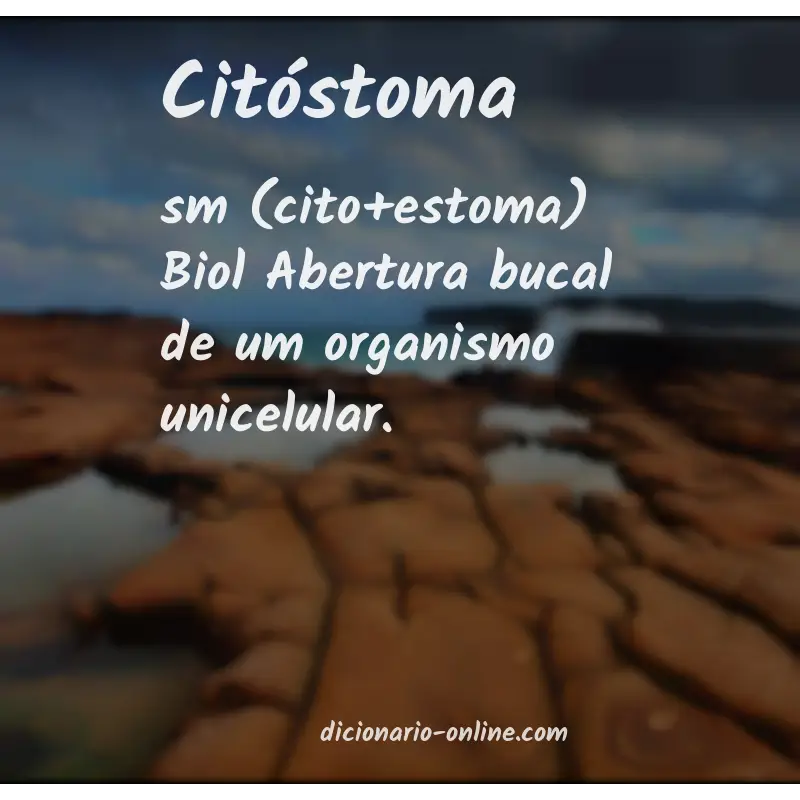 Significado de citóstoma