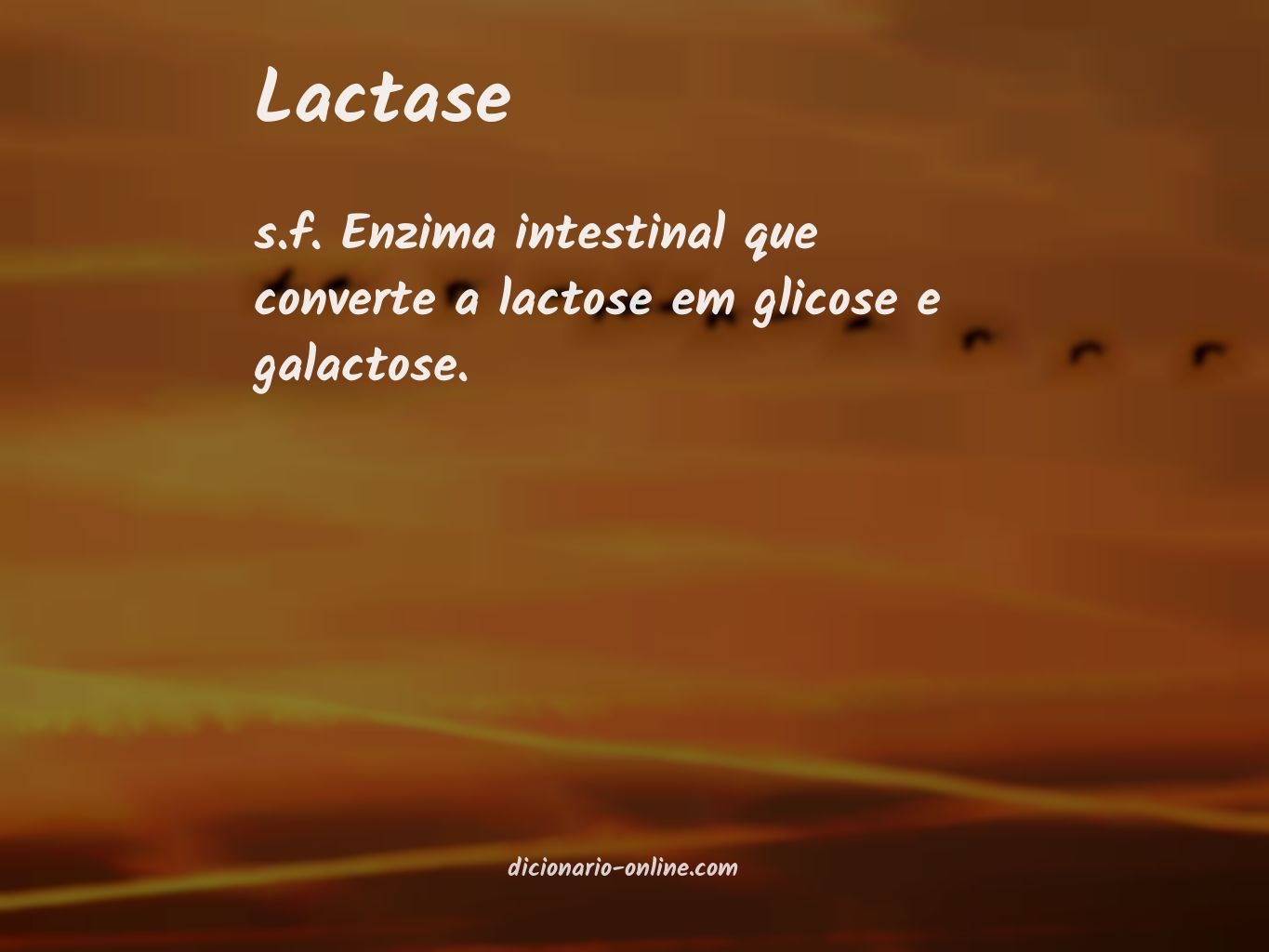 Significado de lactase