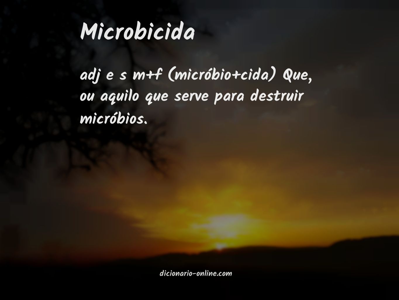 Significado de microbicida