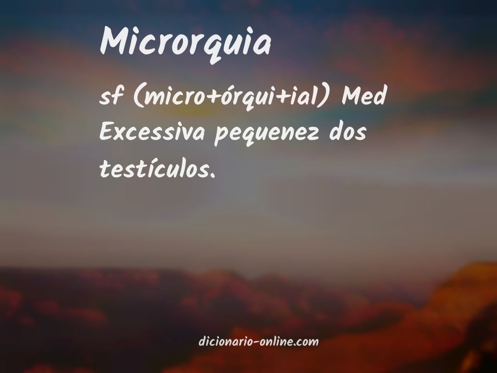 Significado de microrquia