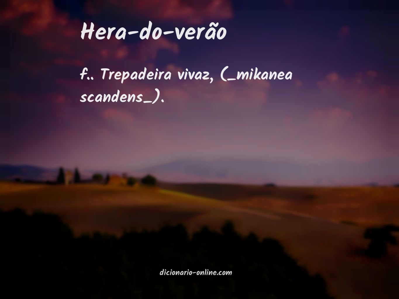 Significado de hera-do-verão