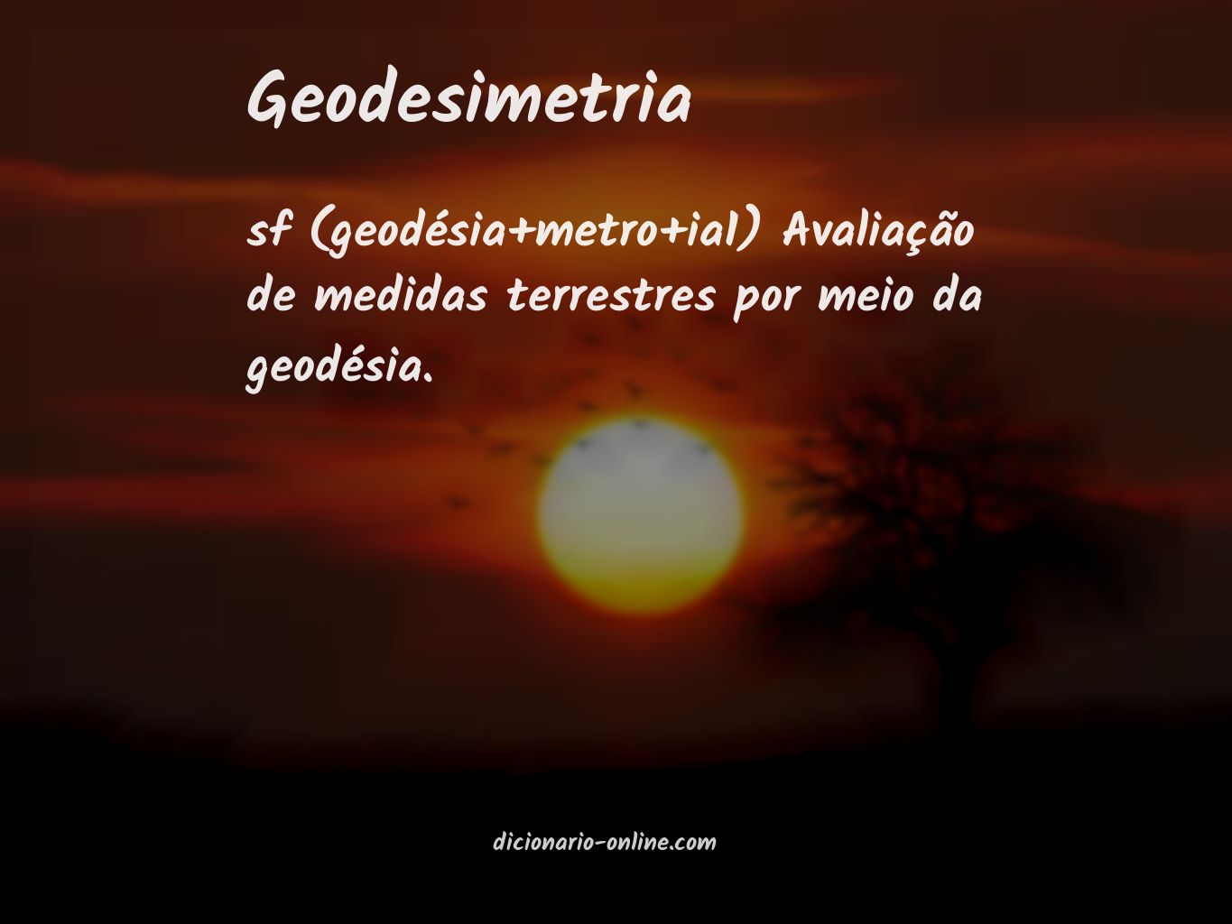 Significado de geodesimetria