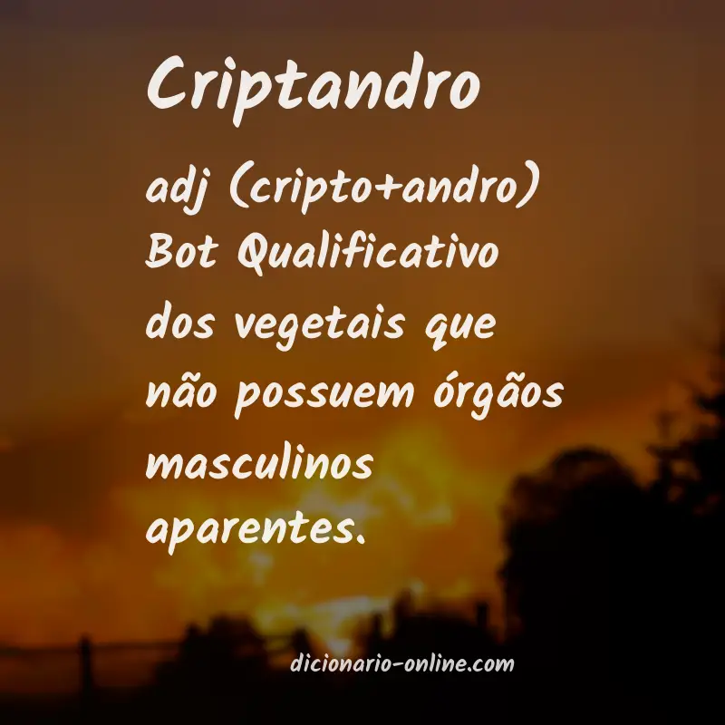 Significado de criptandro