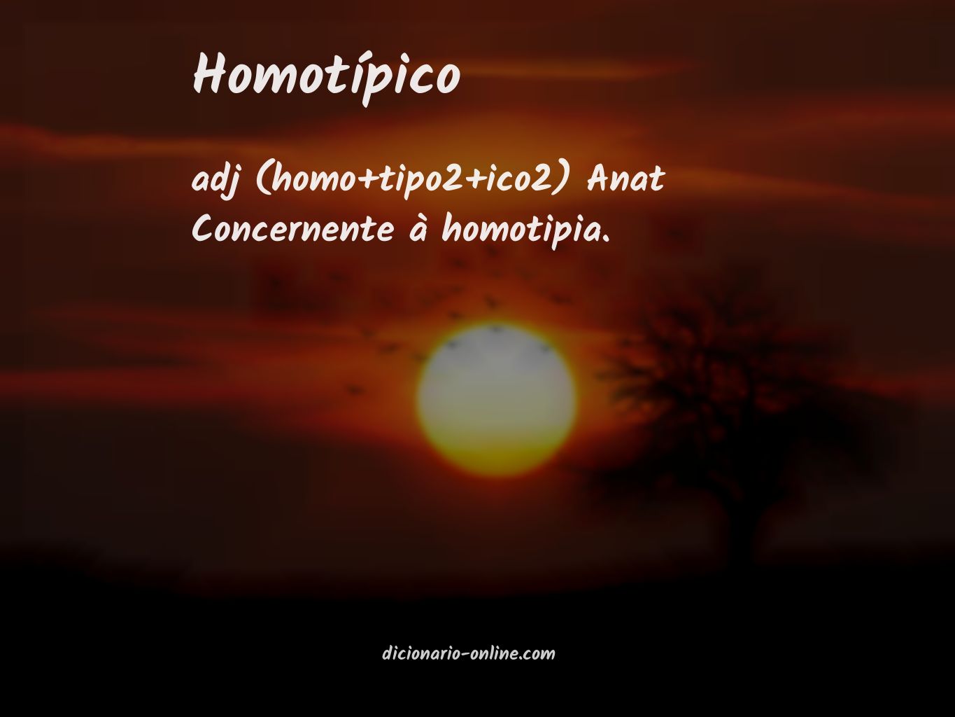 Significado de homotípico