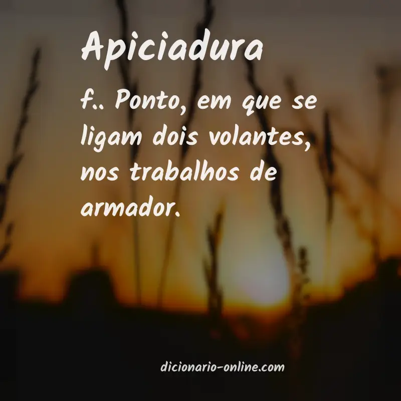 Significado de apiciadura