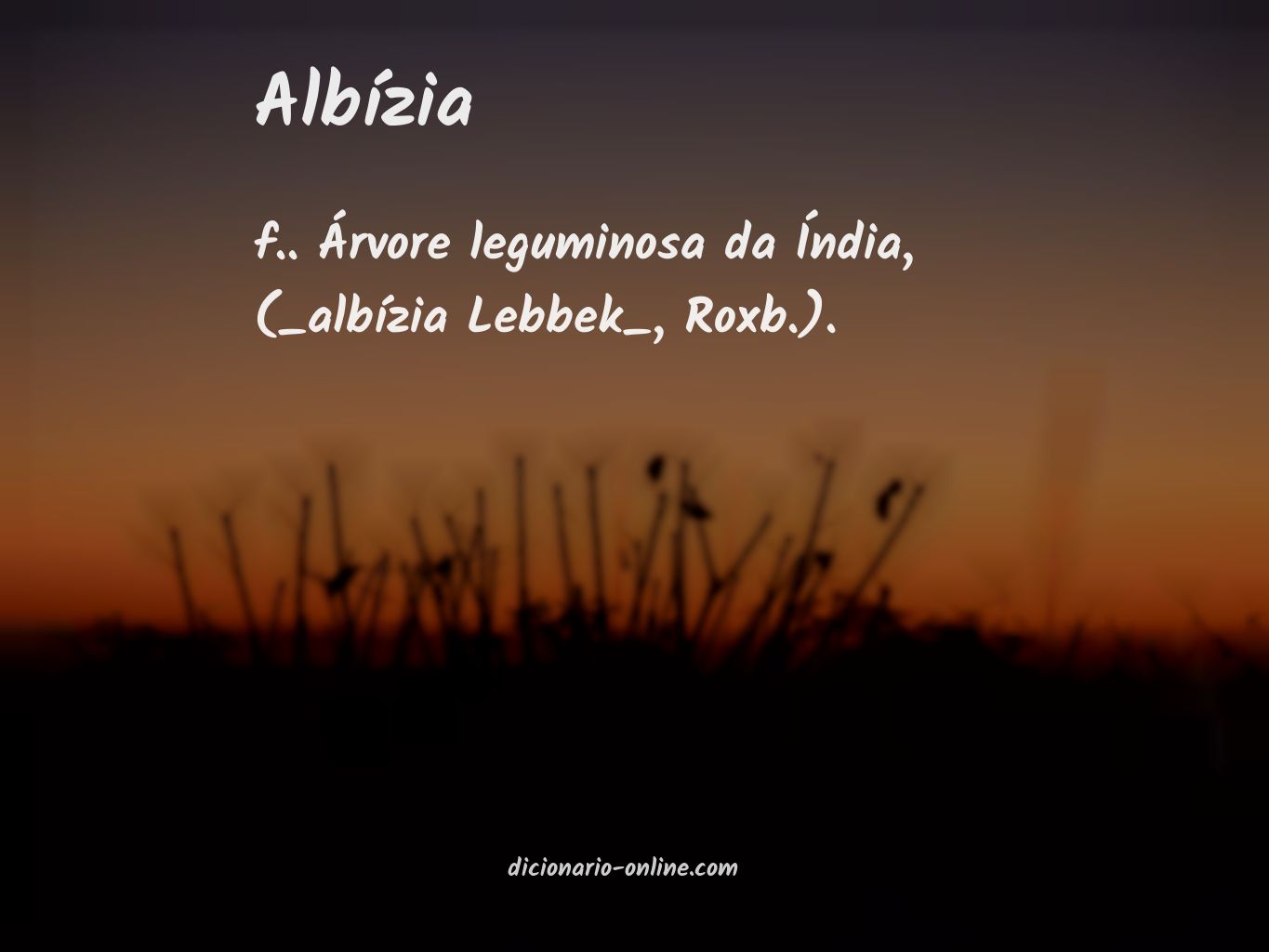 Significado de albízia