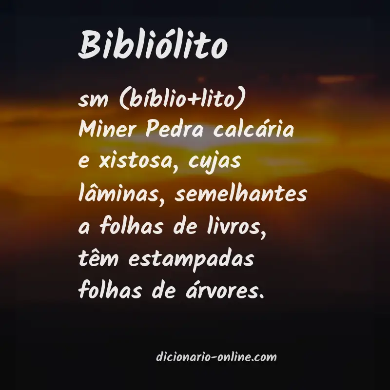 Significado de bibliólito