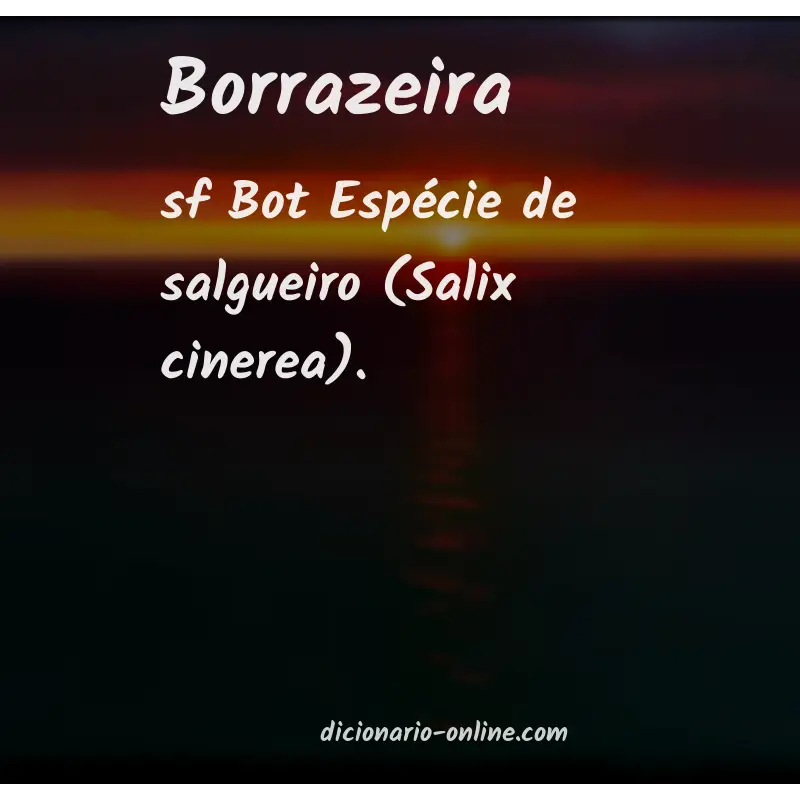 Significado de borrazeira