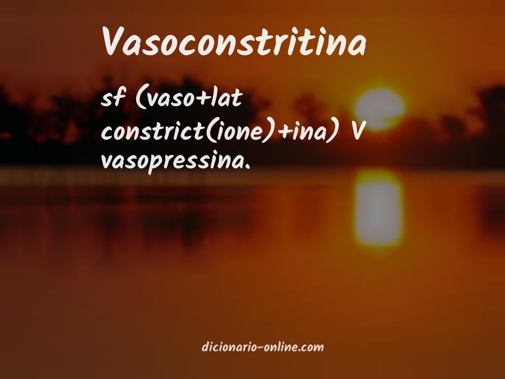 Significado de vasoconstritina