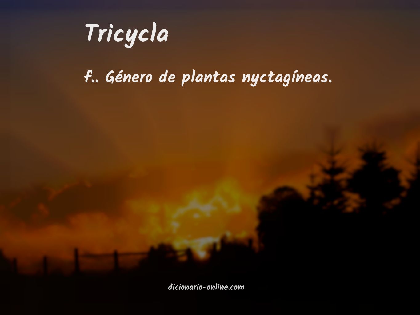 Significado de tricycla