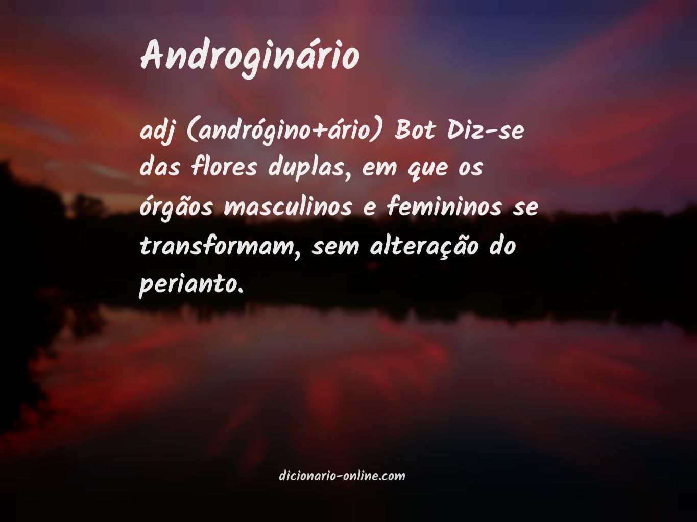 Significado de androginário