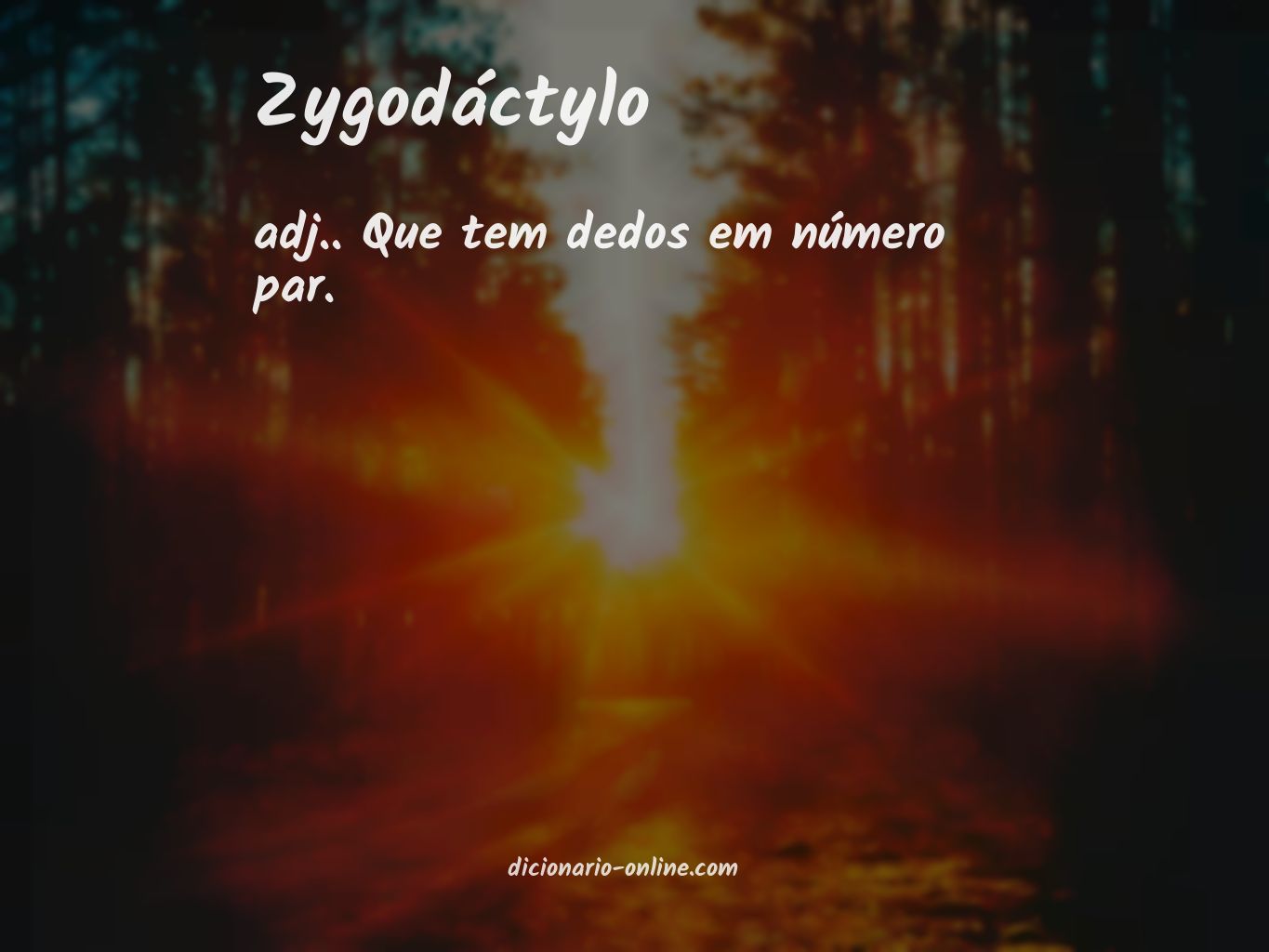 Significado de zygodáctylo