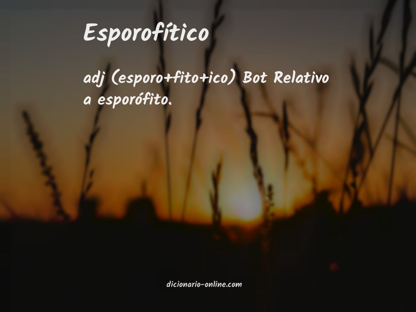 Significado de esporofítico