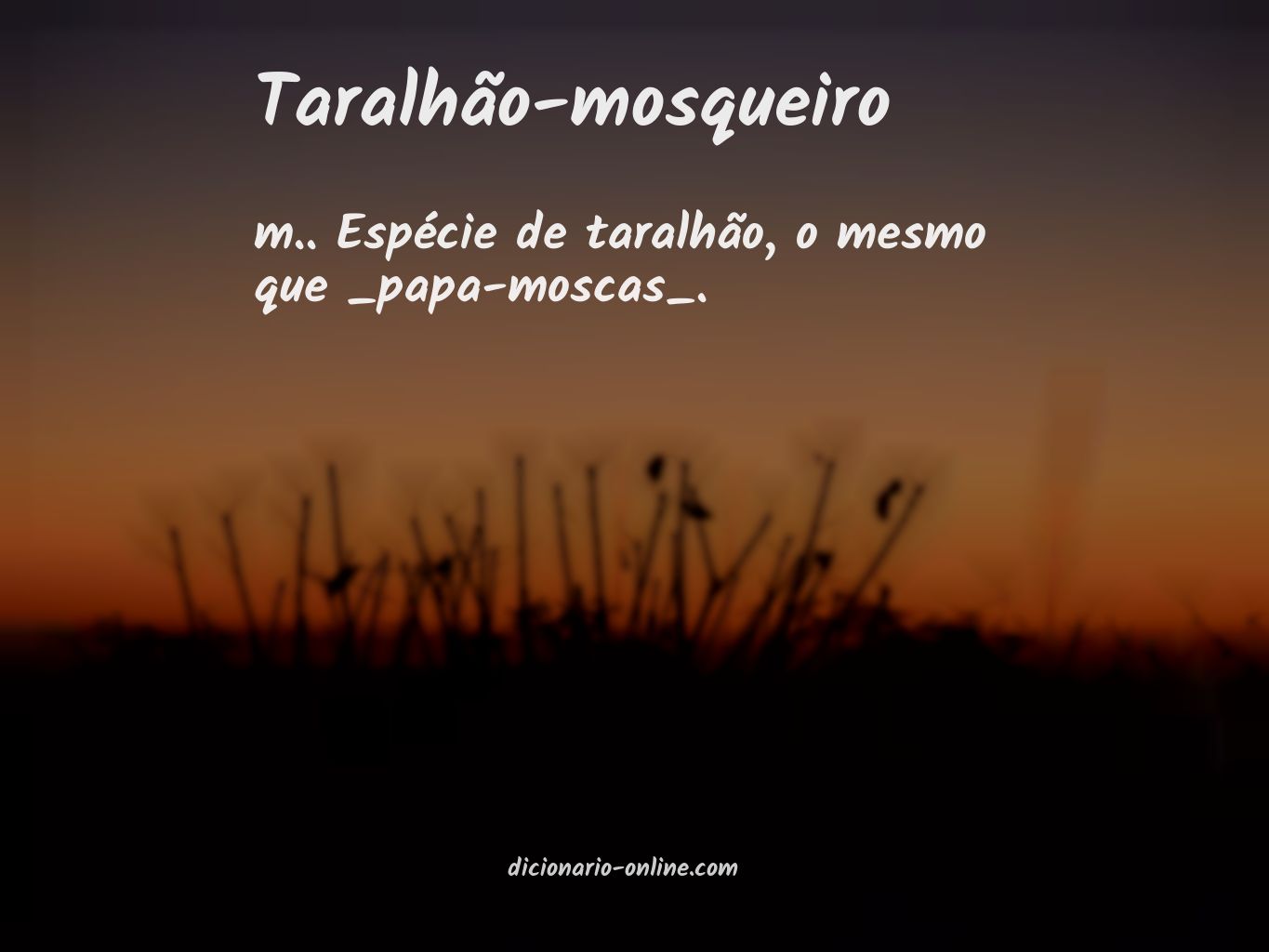 Significado de taralhão-mosqueiro