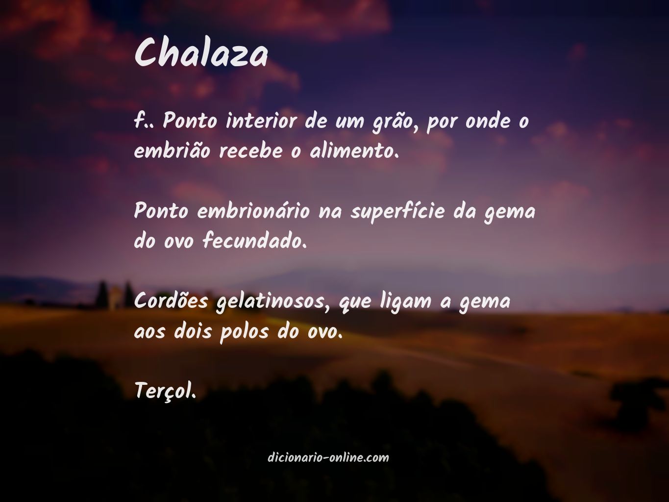 Significado de chalaza