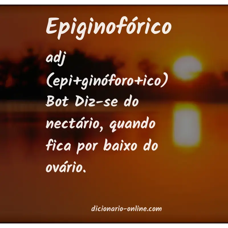Significado de epiginofórico