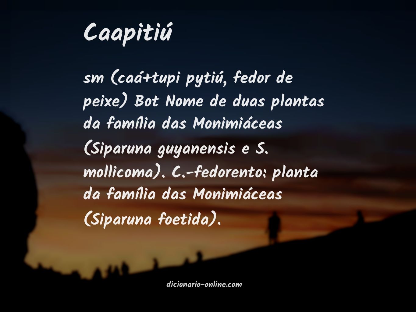 Significado de caapitiú