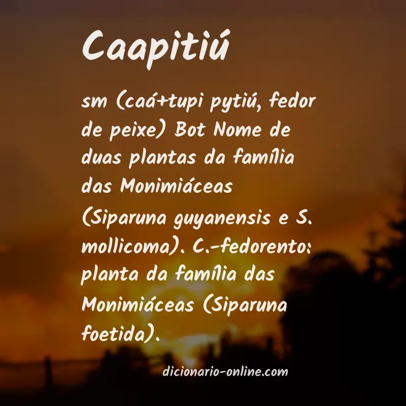 Significado de caapitiú