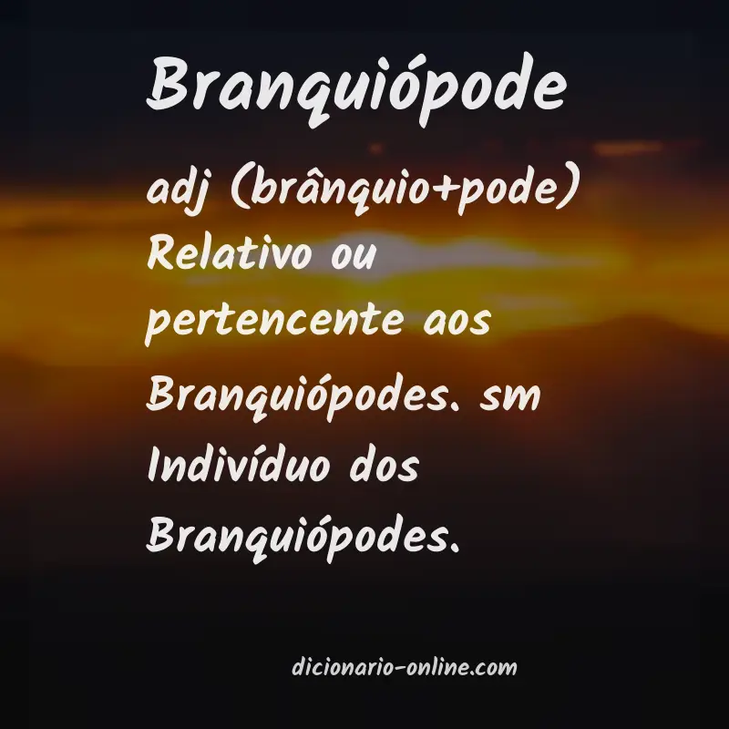 Significado de branquiópode