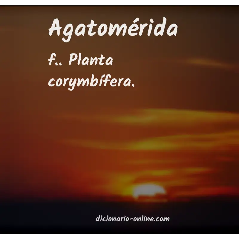 Significado de agatomérida