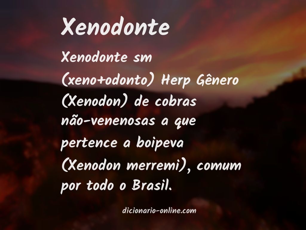 Significado de xenodonte