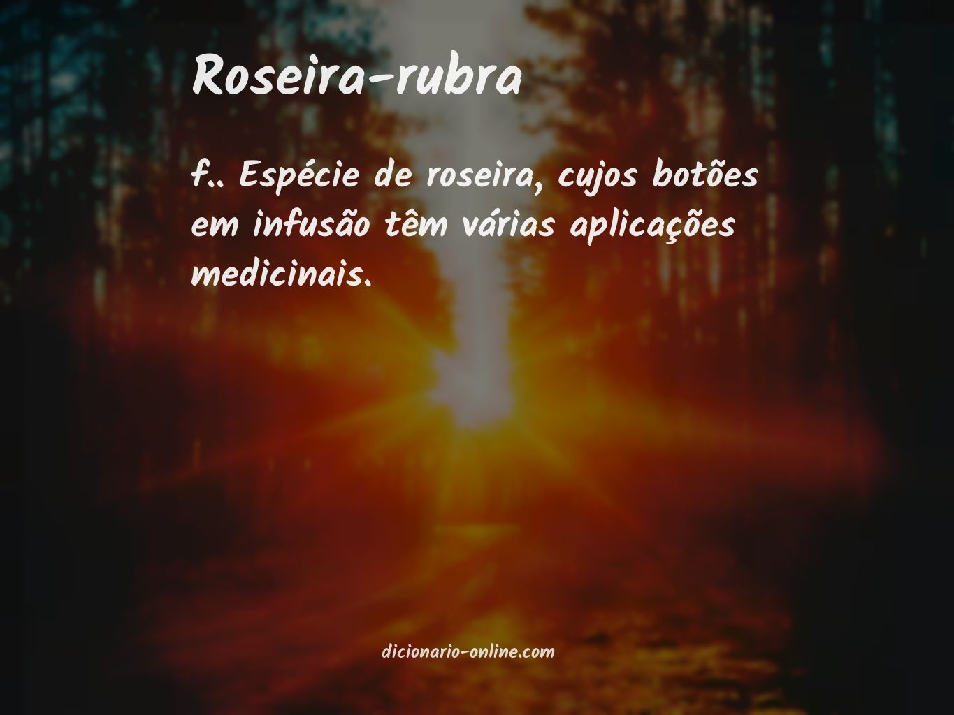 Significado de roseira-rubra