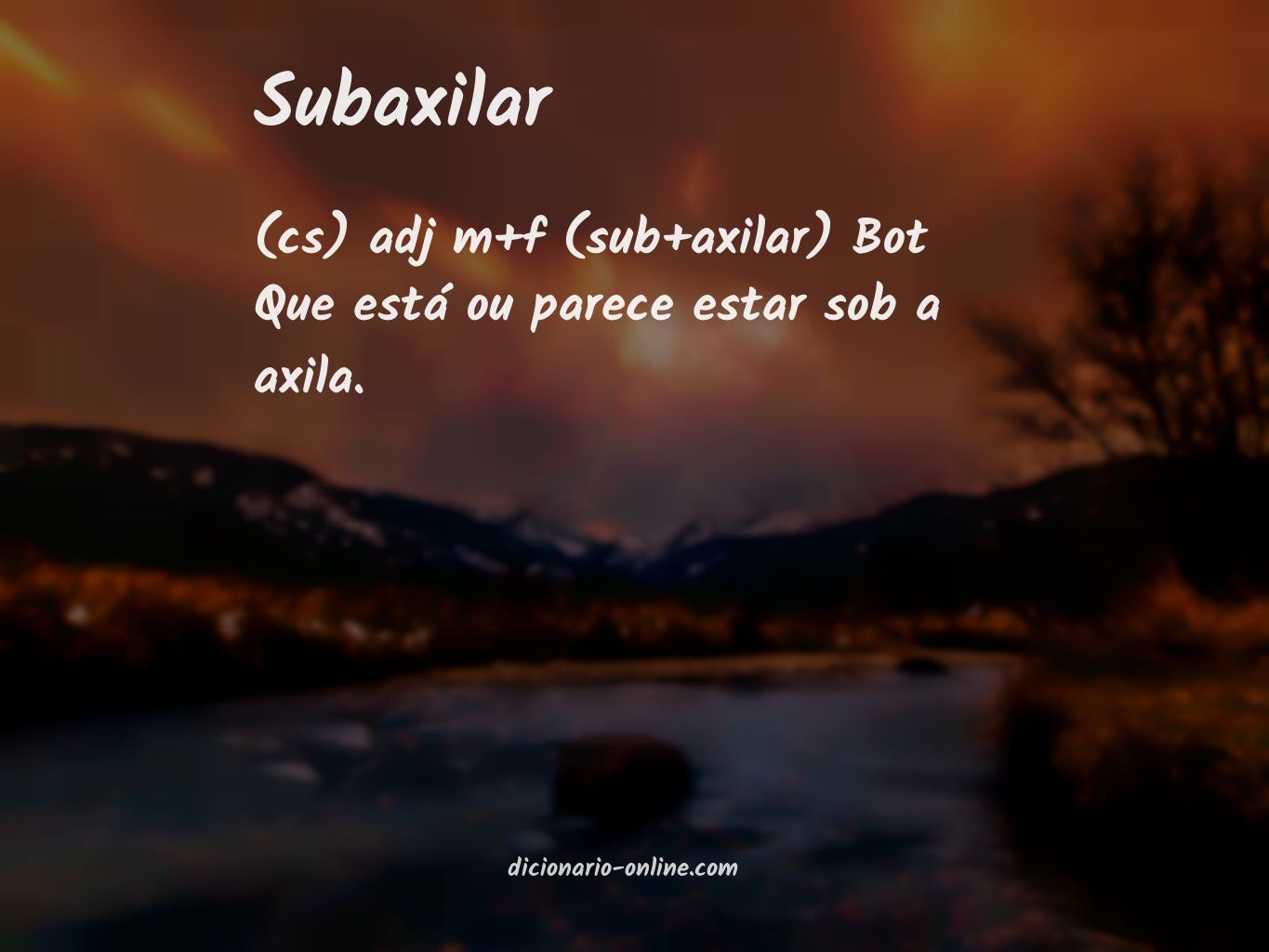 Significado de subaxilar