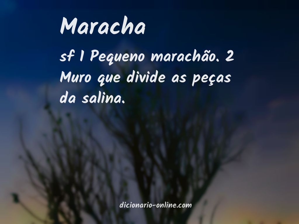 Significado de maracha