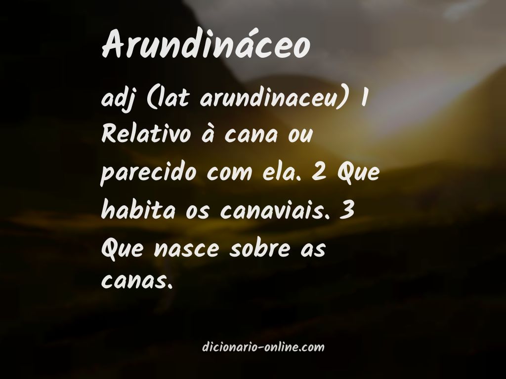 Significado de arundináceo