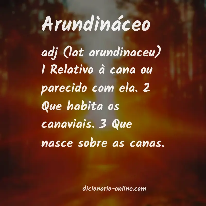 Significado de arundináceo