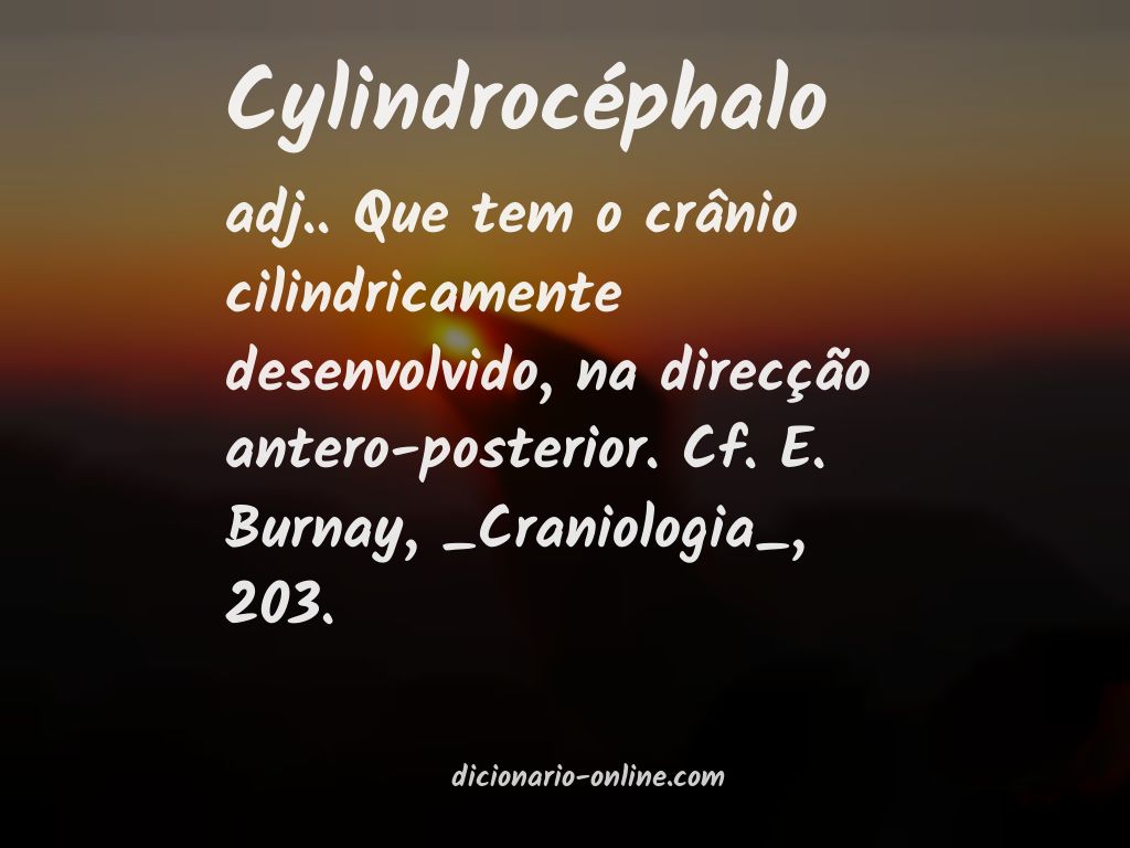 Significado de cylindrocéphalo