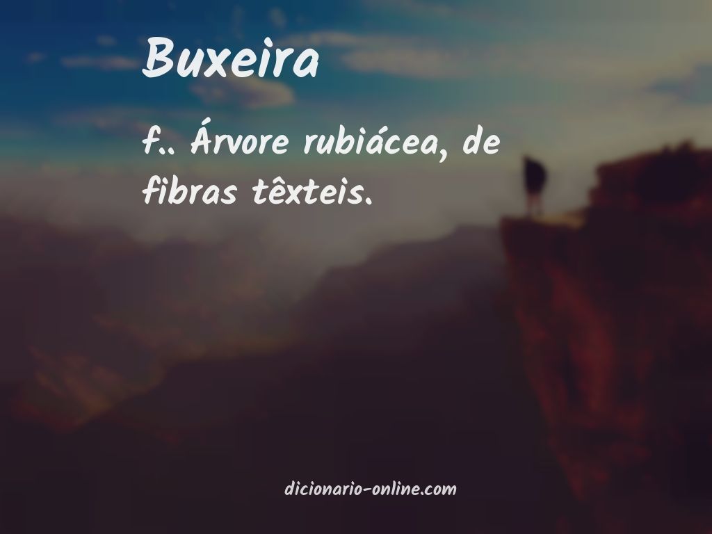 Significado de buxeira