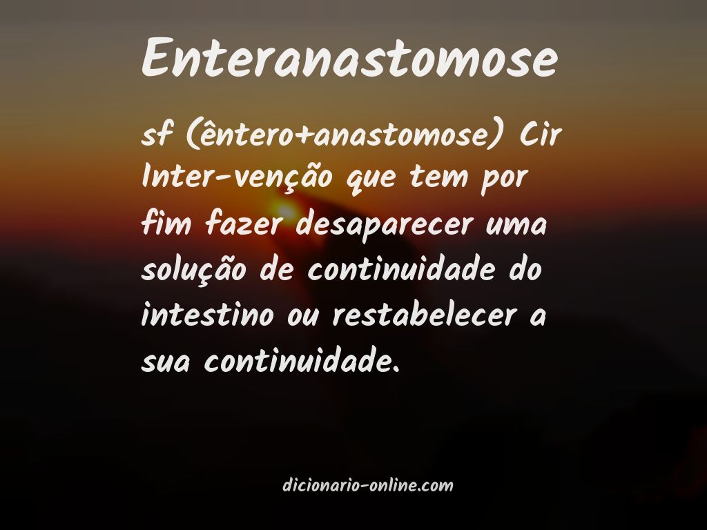 Significado de enteranastomose